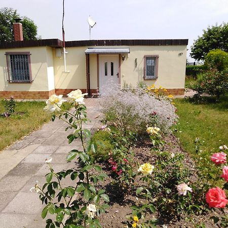 Olbersdorf Ferienhaus Kaiserfelder מראה חיצוני תמונה